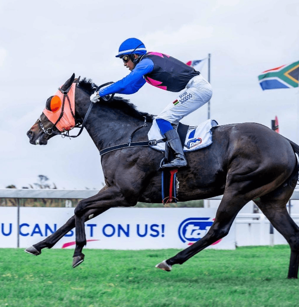 Ravilious - SAPFS Racing