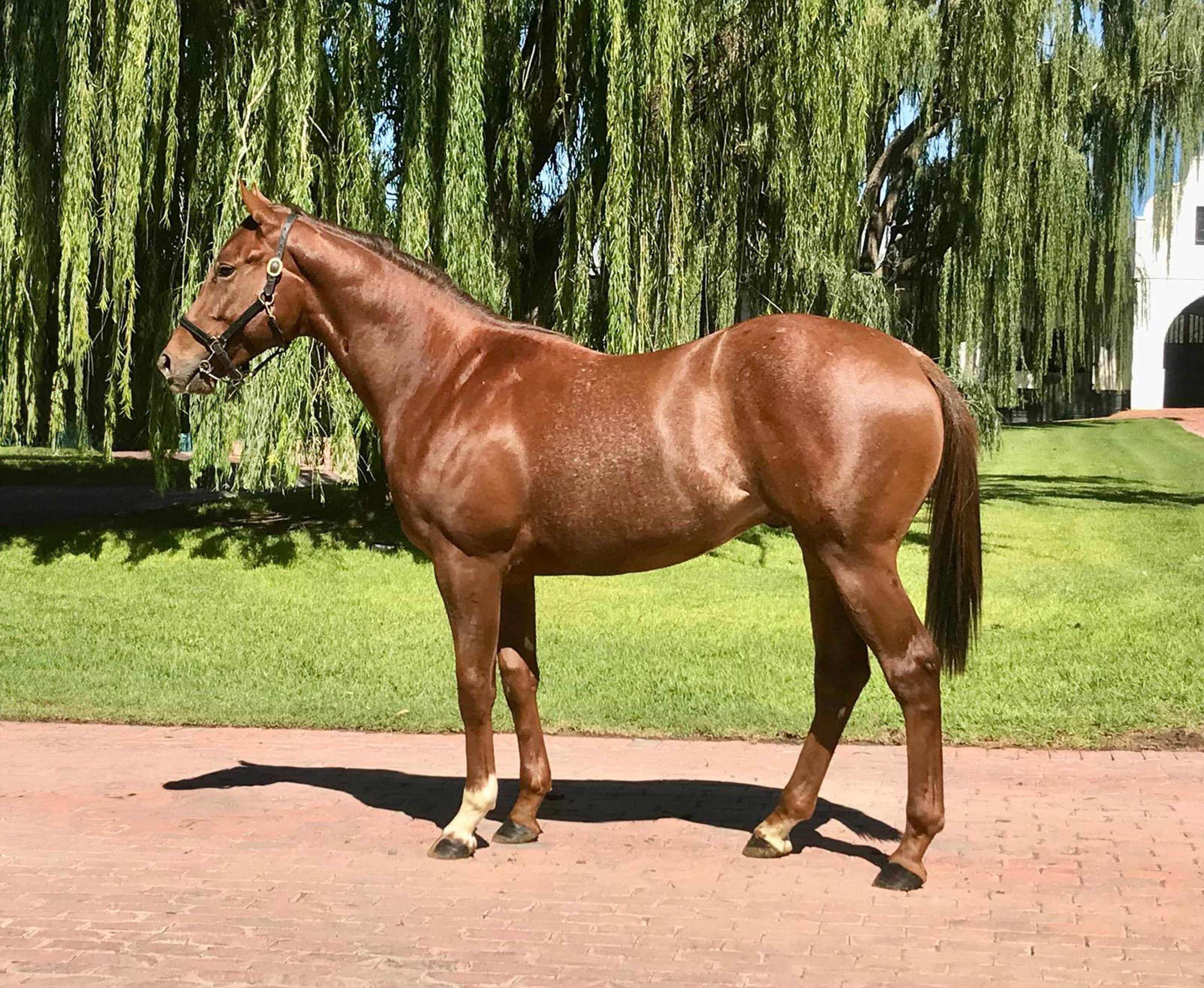 Stronger Together - SAPFS Racing