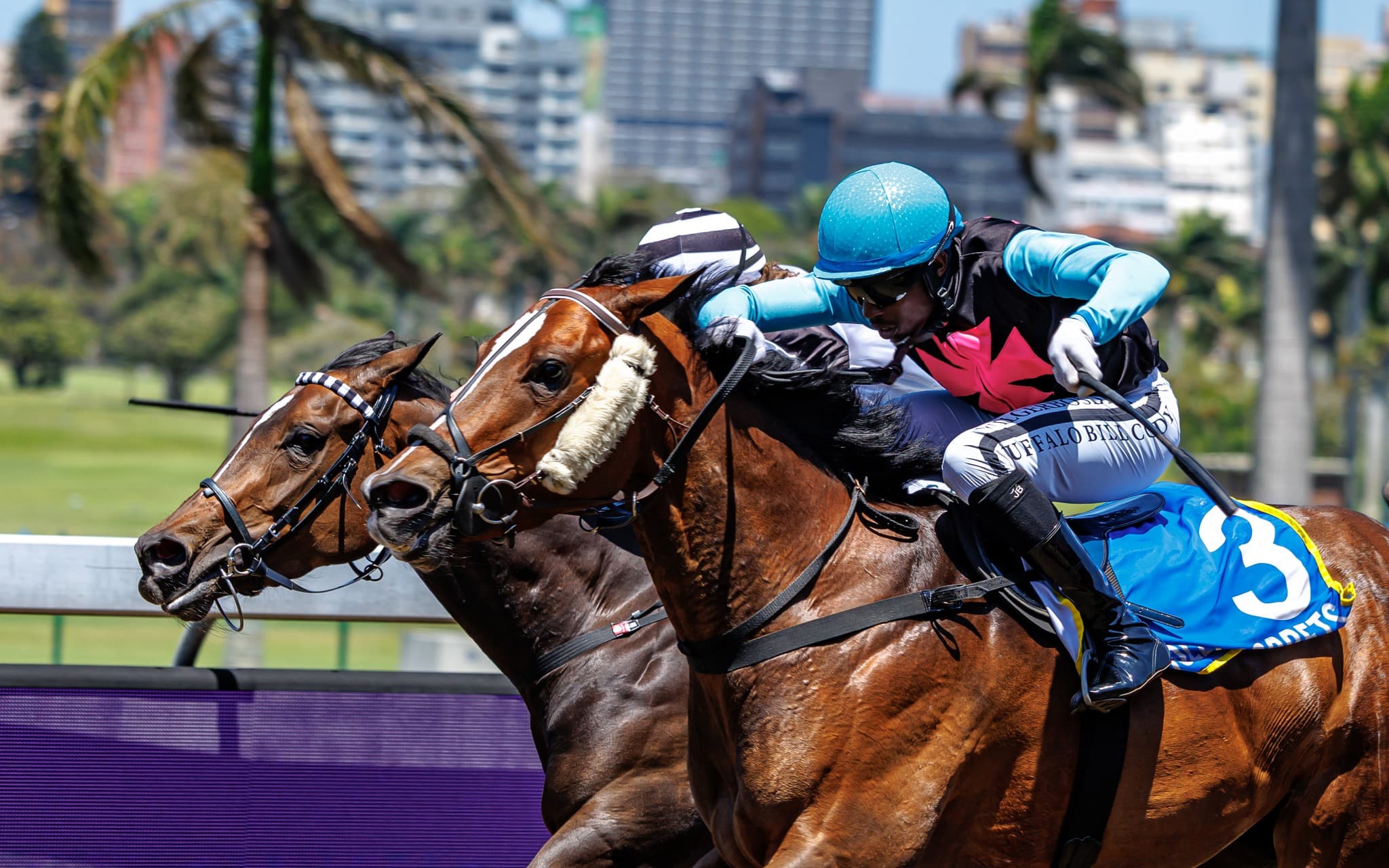 Austrian Beauty - Photo 3