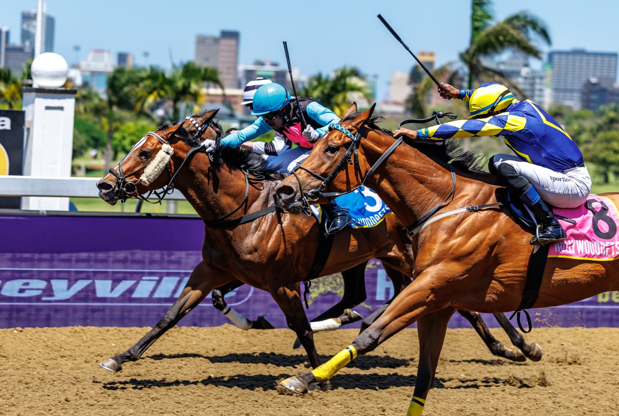 Austrian Beauty - Photo 4