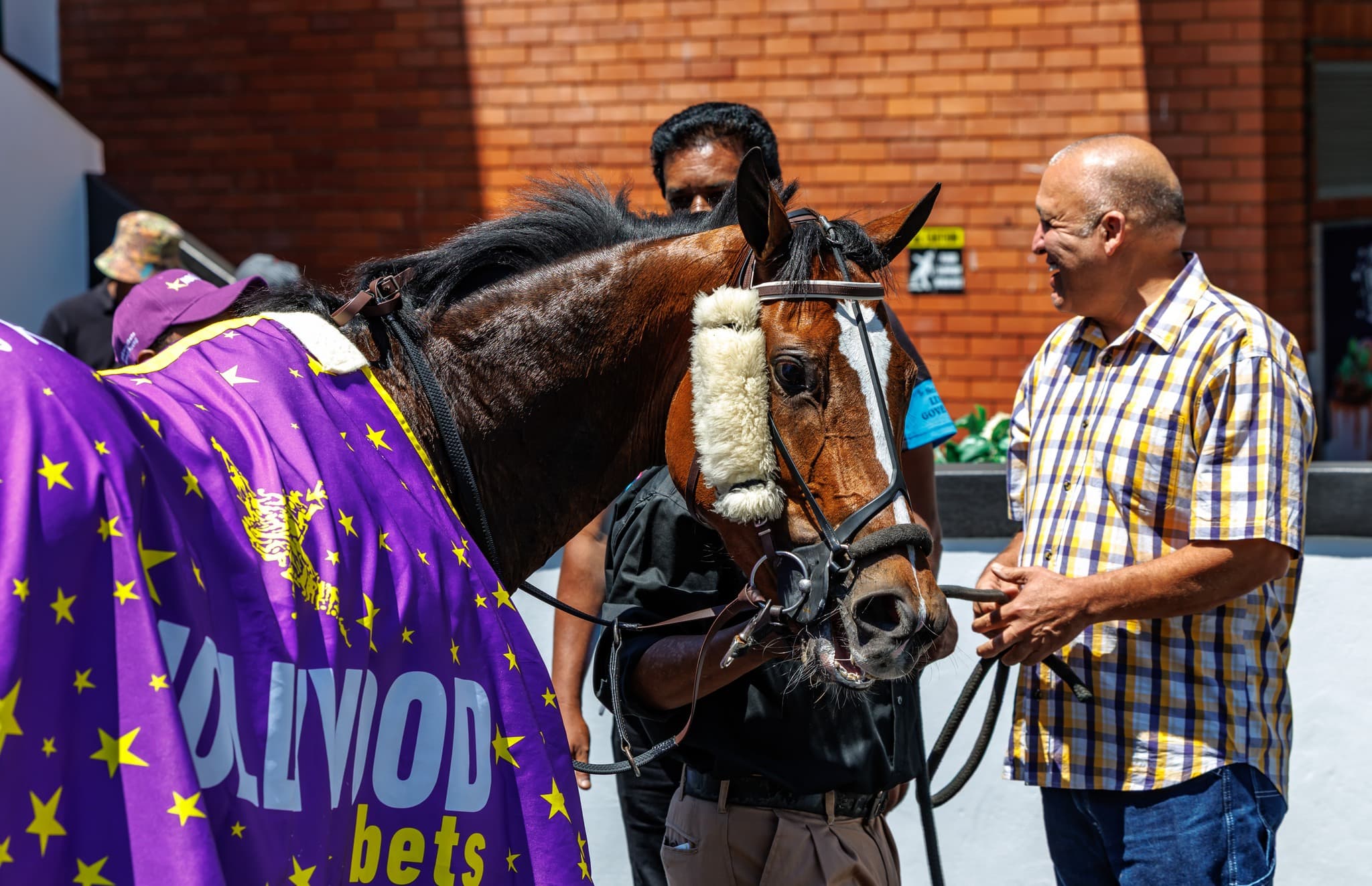 Austrian Beauty - SAPFS Racing