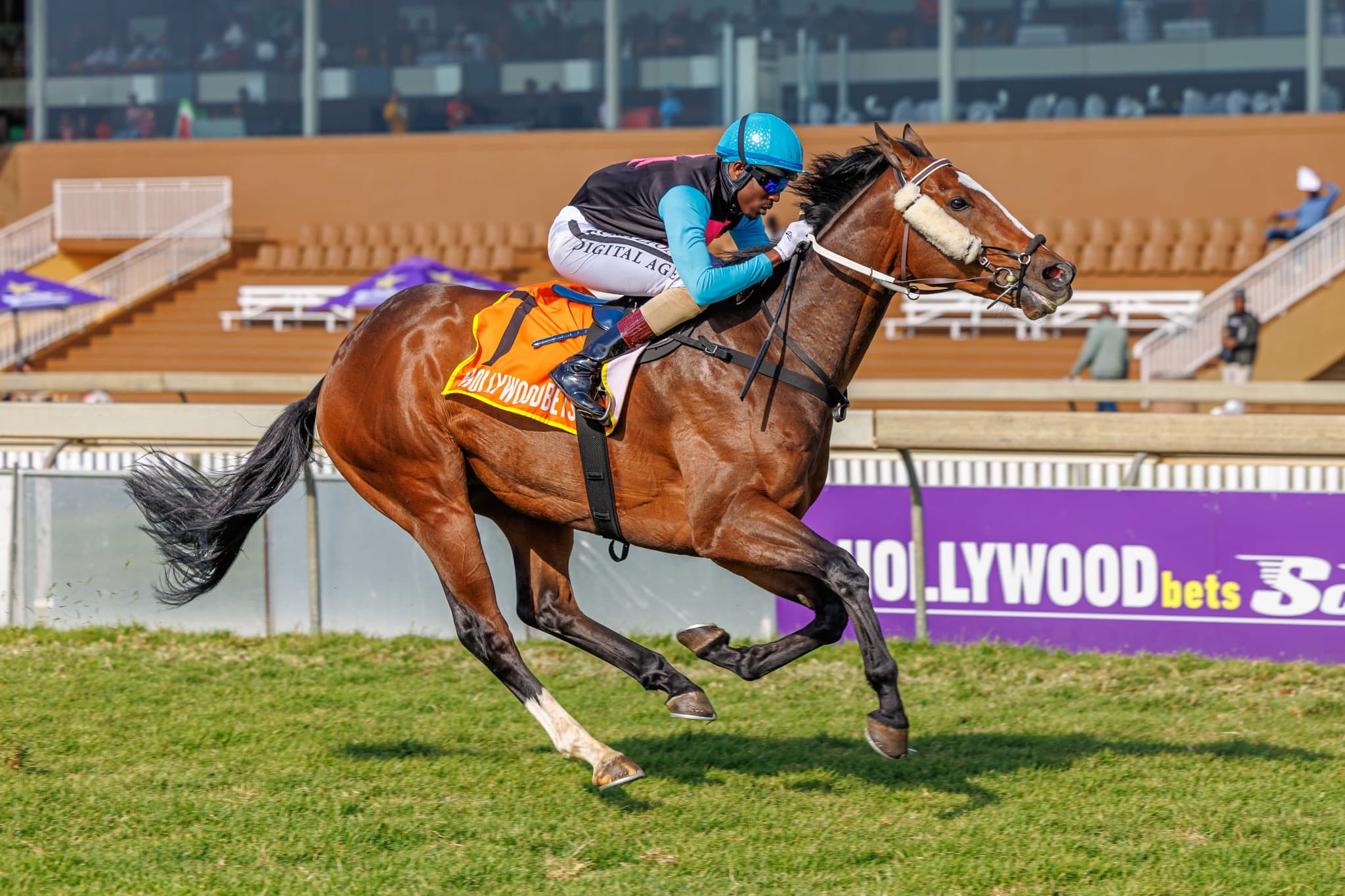 Connoisseur - Photo 2