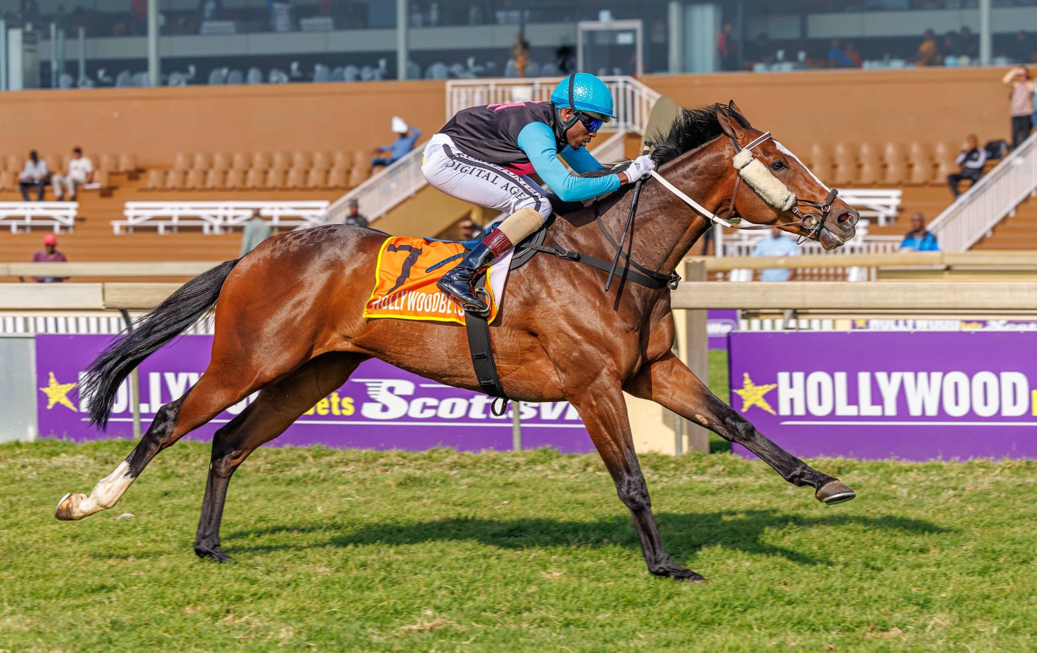 Connoisseur - Photo 3