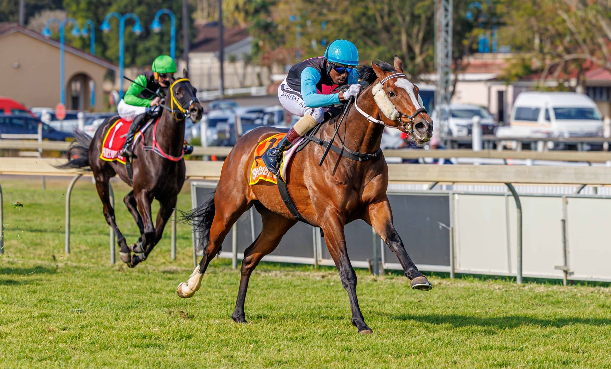 Connoisseur - Photo 4